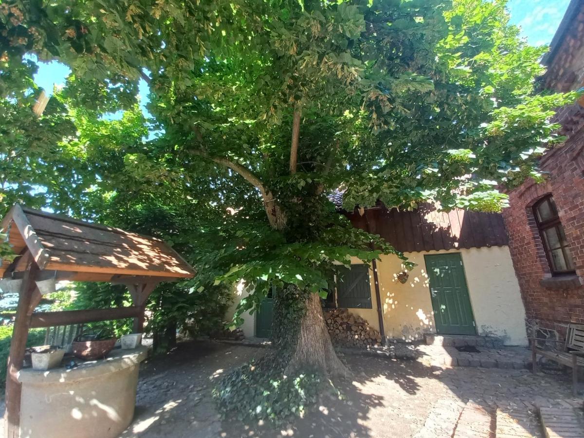 Avalon Polchowo Kamien Pomorski Luaran gambar