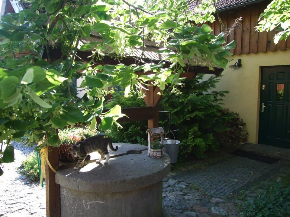 Avalon Polchowo Kamien Pomorski Luaran gambar