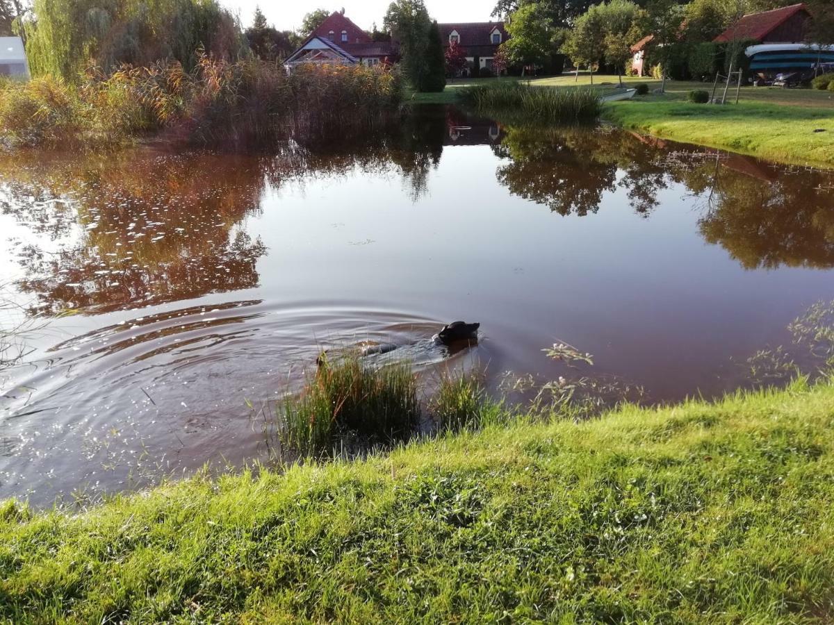 Avalon Polchowo Kamien Pomorski Luaran gambar
